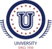 Partner Logo 2
